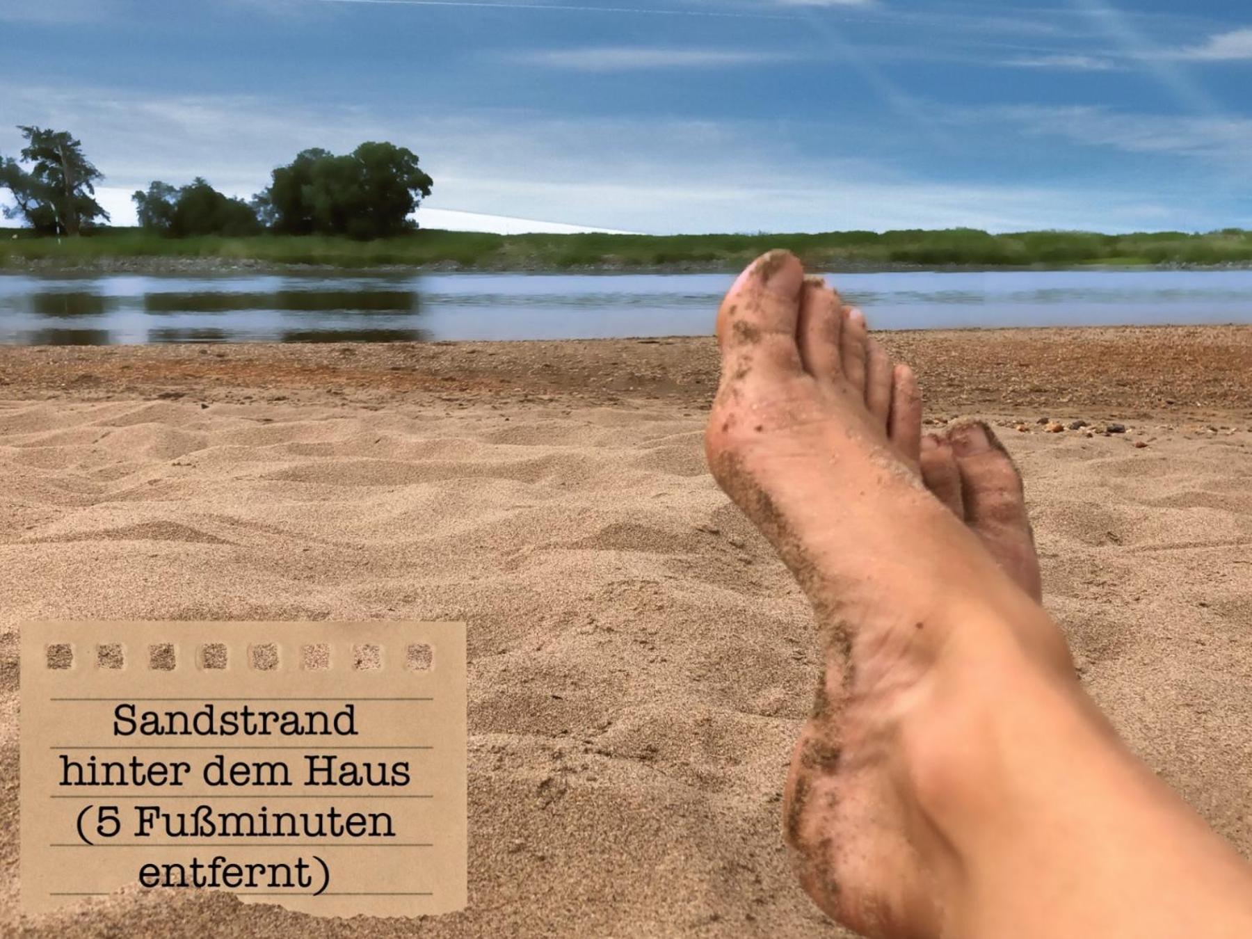 Alte Schule Wittenberg, 3 Ferienwohnungen Fuer Bis Zu 12 Personen, An Der Elbe, Mit Garten Екстер'єр фото