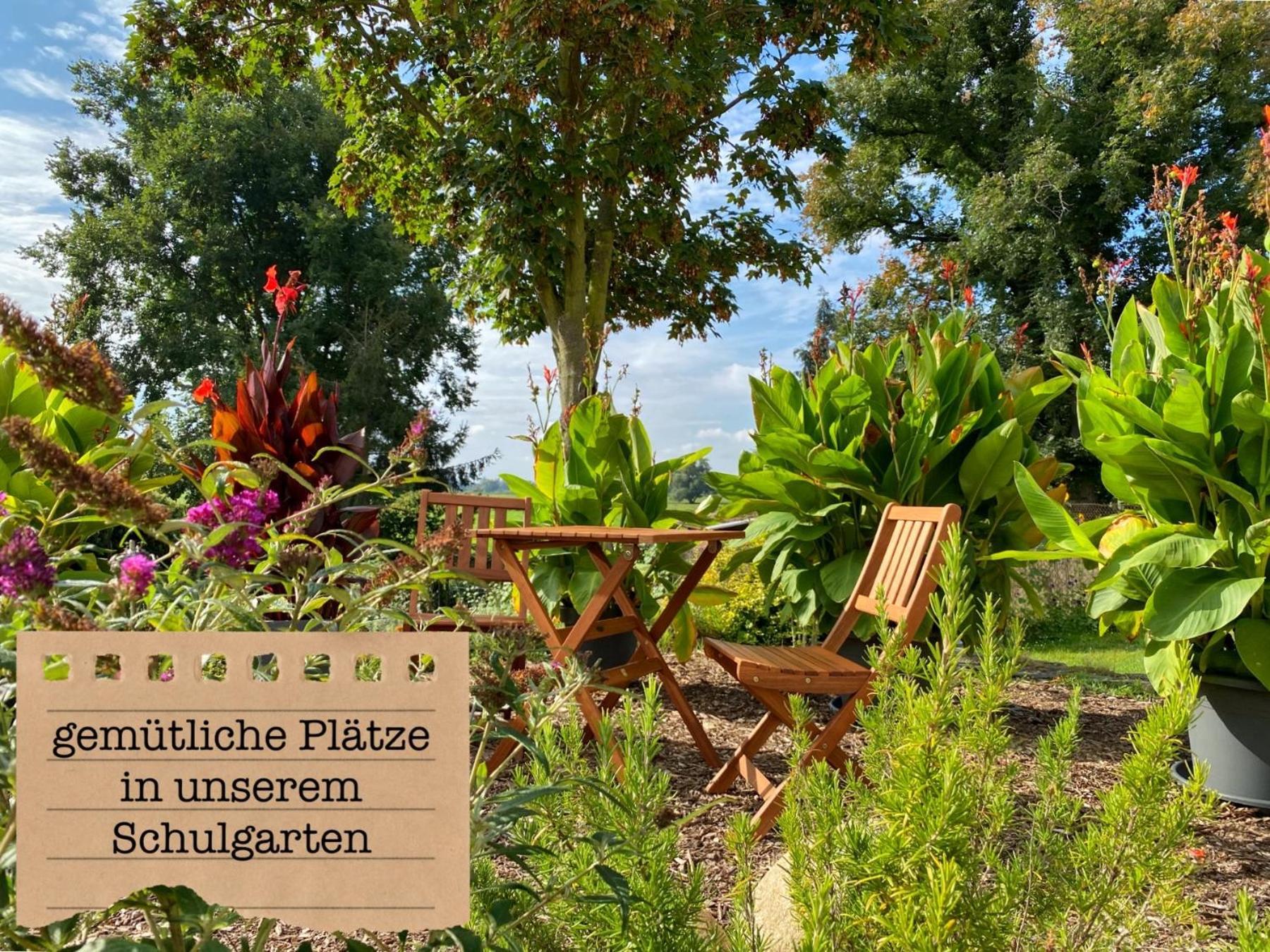 Alte Schule Wittenberg, 3 Ferienwohnungen Fuer Bis Zu 12 Personen, An Der Elbe, Mit Garten Екстер'єр фото