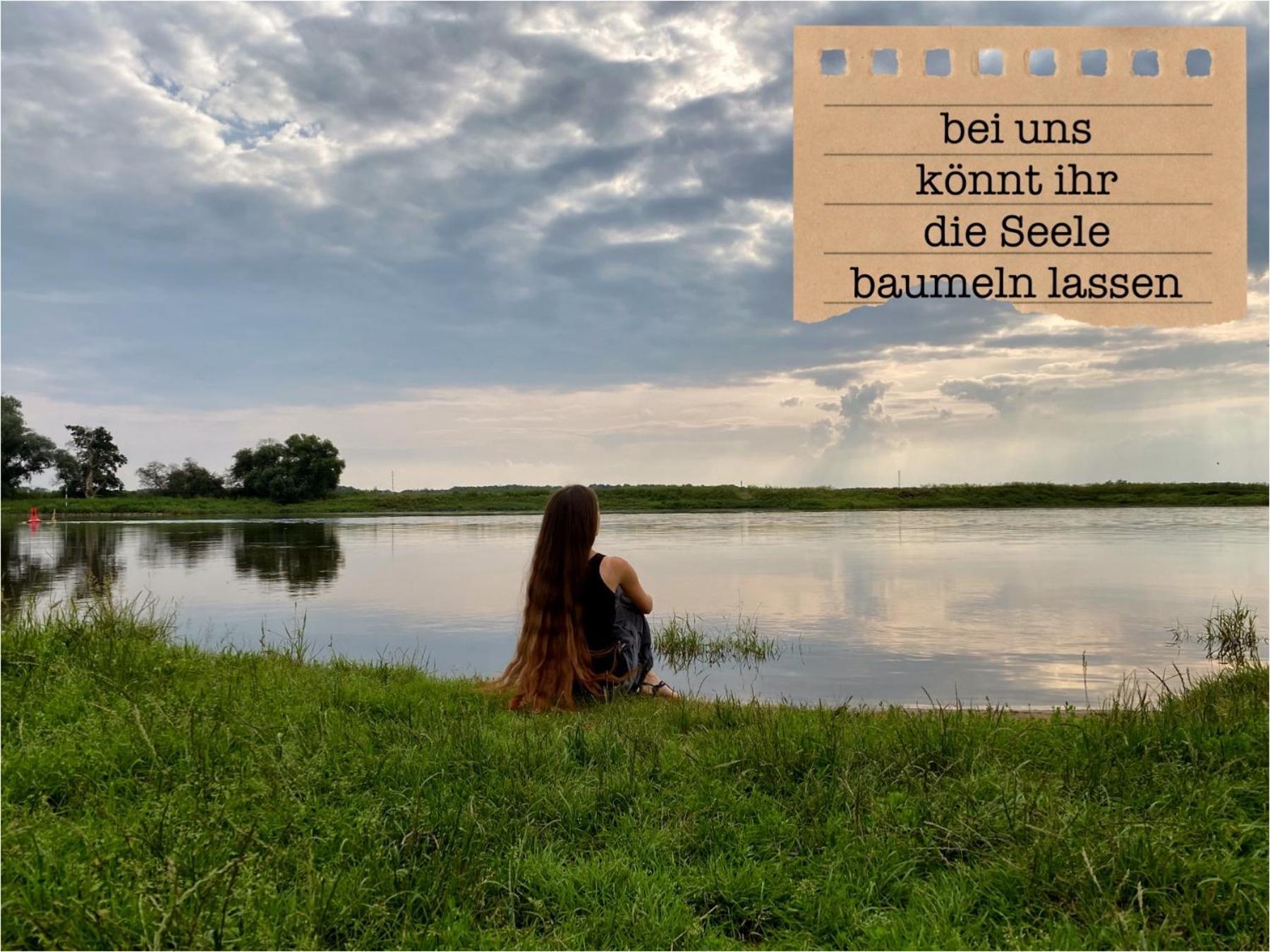 Alte Schule Wittenberg, 3 Ferienwohnungen Fuer Bis Zu 12 Personen, An Der Elbe, Mit Garten Екстер'єр фото