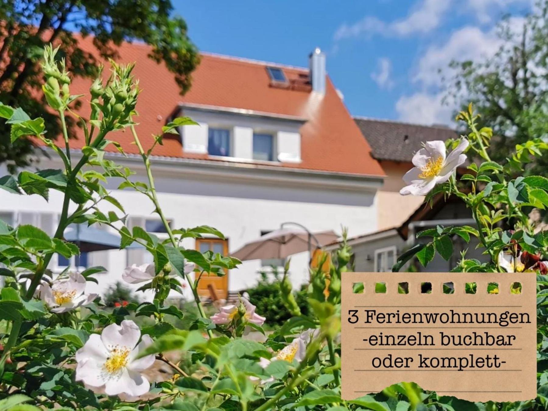 Alte Schule Wittenberg, 3 Ferienwohnungen Fuer Bis Zu 12 Personen, An Der Elbe, Mit Garten Екстер'єр фото