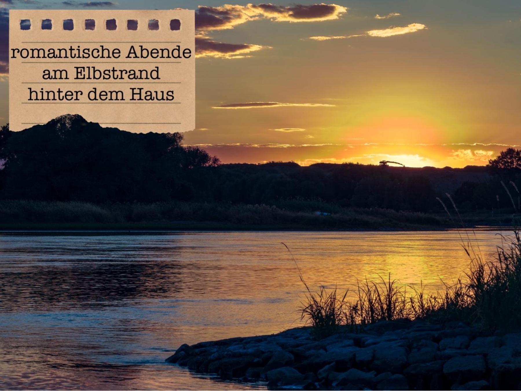 Alte Schule Wittenberg, 3 Ferienwohnungen Fuer Bis Zu 12 Personen, An Der Elbe, Mit Garten Екстер'єр фото