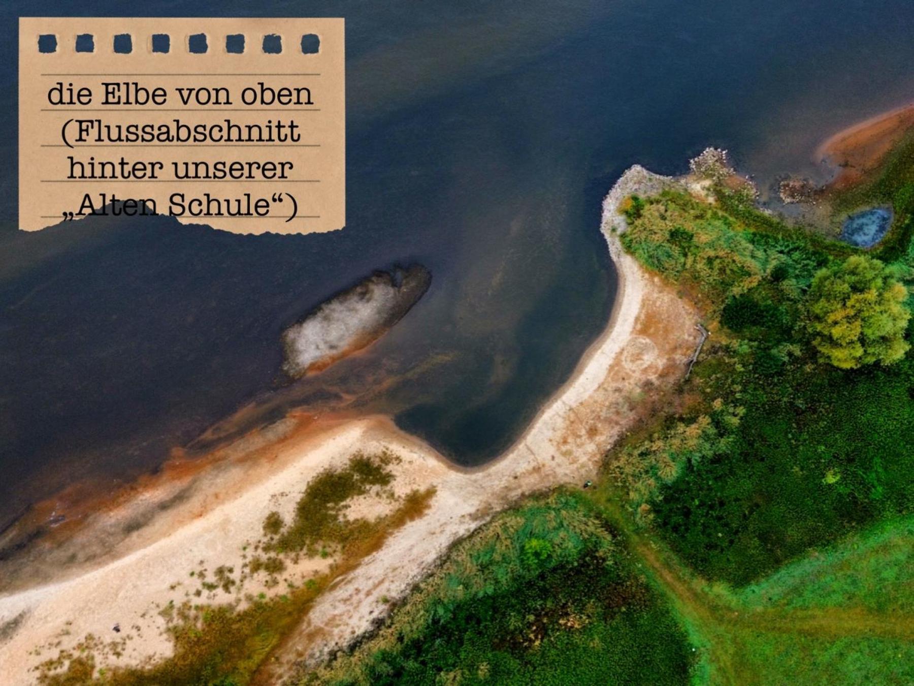 Alte Schule Wittenberg, 3 Ferienwohnungen Fuer Bis Zu 12 Personen, An Der Elbe, Mit Garten Екстер'єр фото