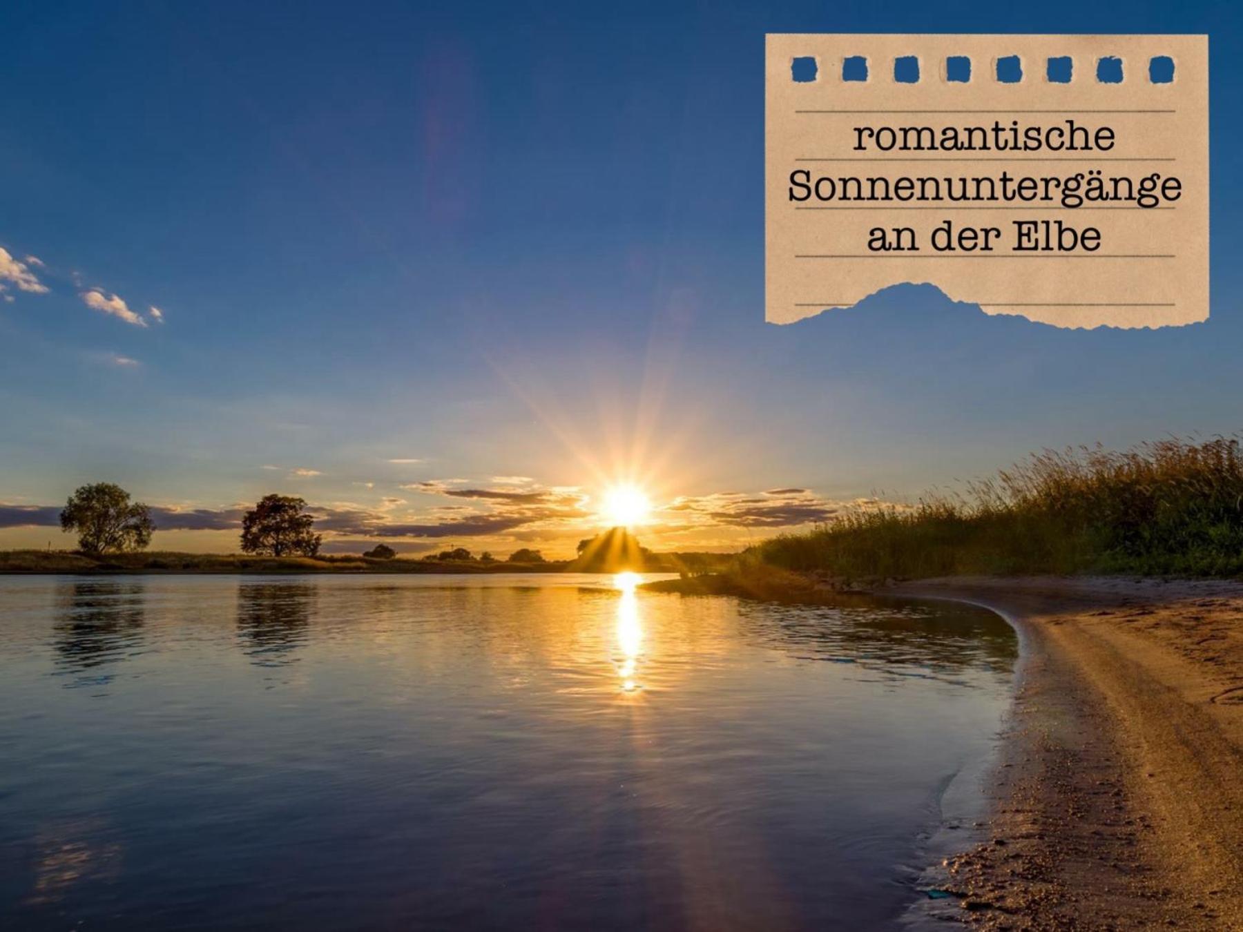Alte Schule Wittenberg, 3 Ferienwohnungen Fuer Bis Zu 12 Personen, An Der Elbe, Mit Garten Екстер'єр фото