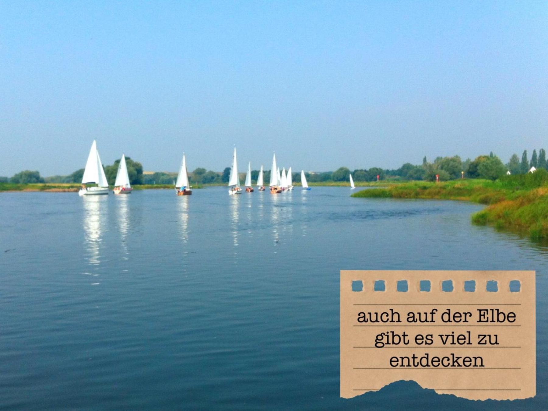 Alte Schule Wittenberg, 3 Ferienwohnungen Fuer Bis Zu 12 Personen, An Der Elbe, Mit Garten Екстер'єр фото