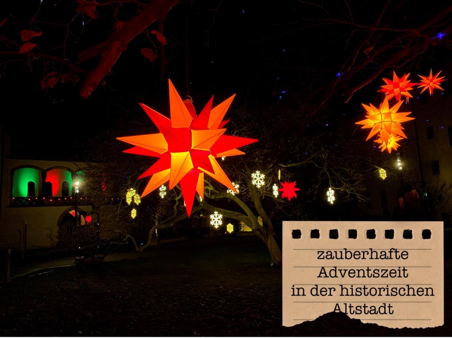 Alte Schule Wittenberg, 3 Ferienwohnungen Fuer Bis Zu 12 Personen, An Der Elbe, Mit Garten Екстер'єр фото